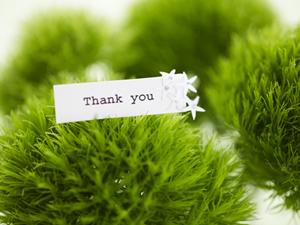 パワーストーンで金運を上げよう