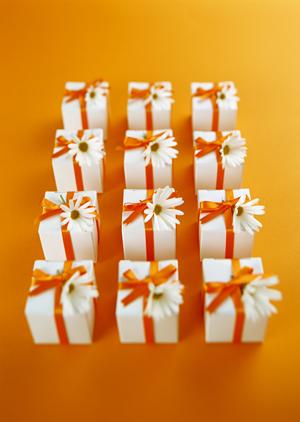 ビジネス向け純水器の選び方と効果的な活用術を解説